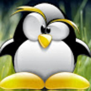 Meet your Posher, Ciro